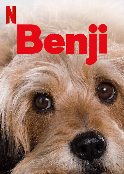 Benji  Site oficial da Netflix